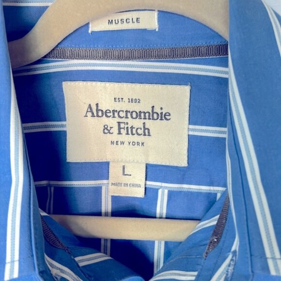 ABERCROMBIE & FITCH Brown Moose Blue & White striped Men’s Shirt Size Large. - Picture 2 of 6